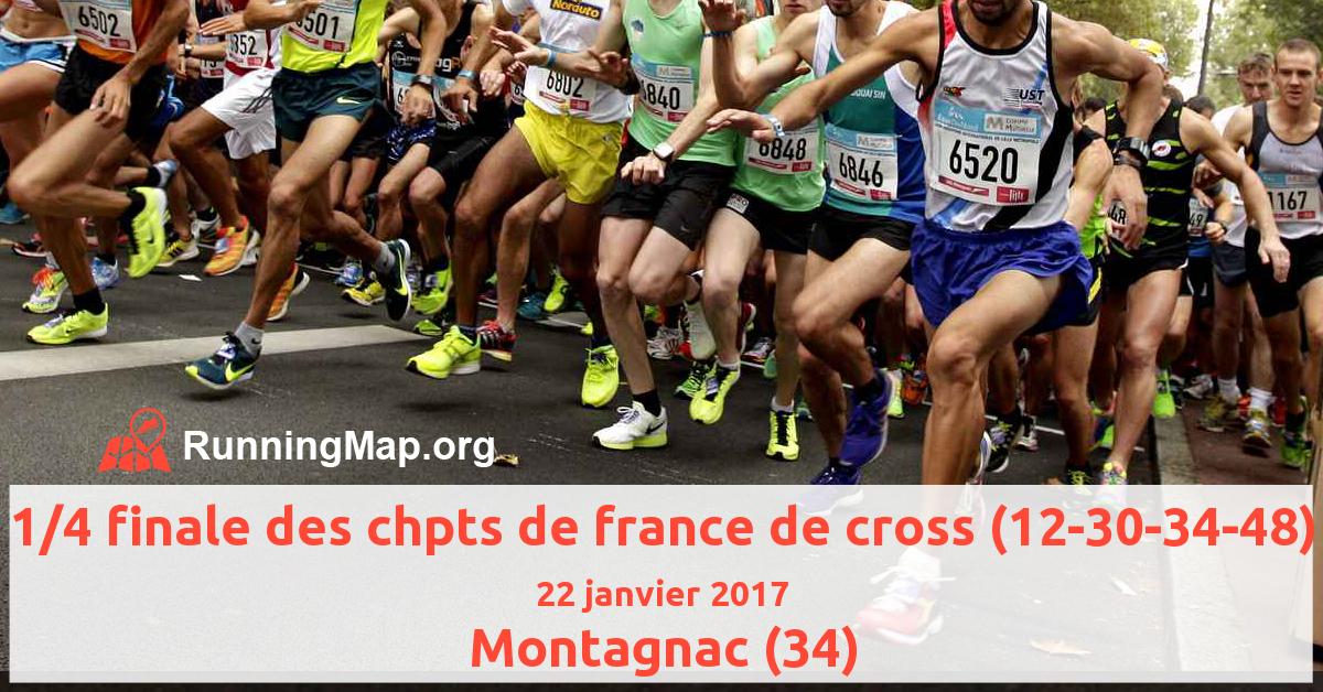 1/4 finale des chpts de france de cross (12-30-34-48)