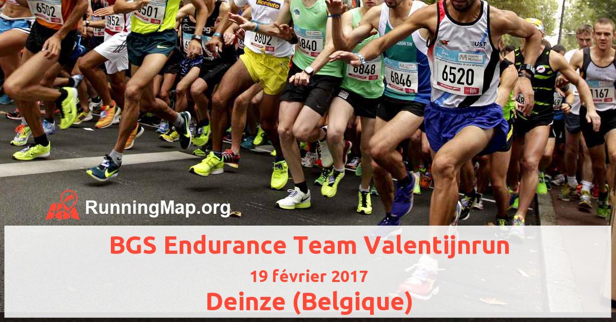 BGS Endurance Team Valentijnrun