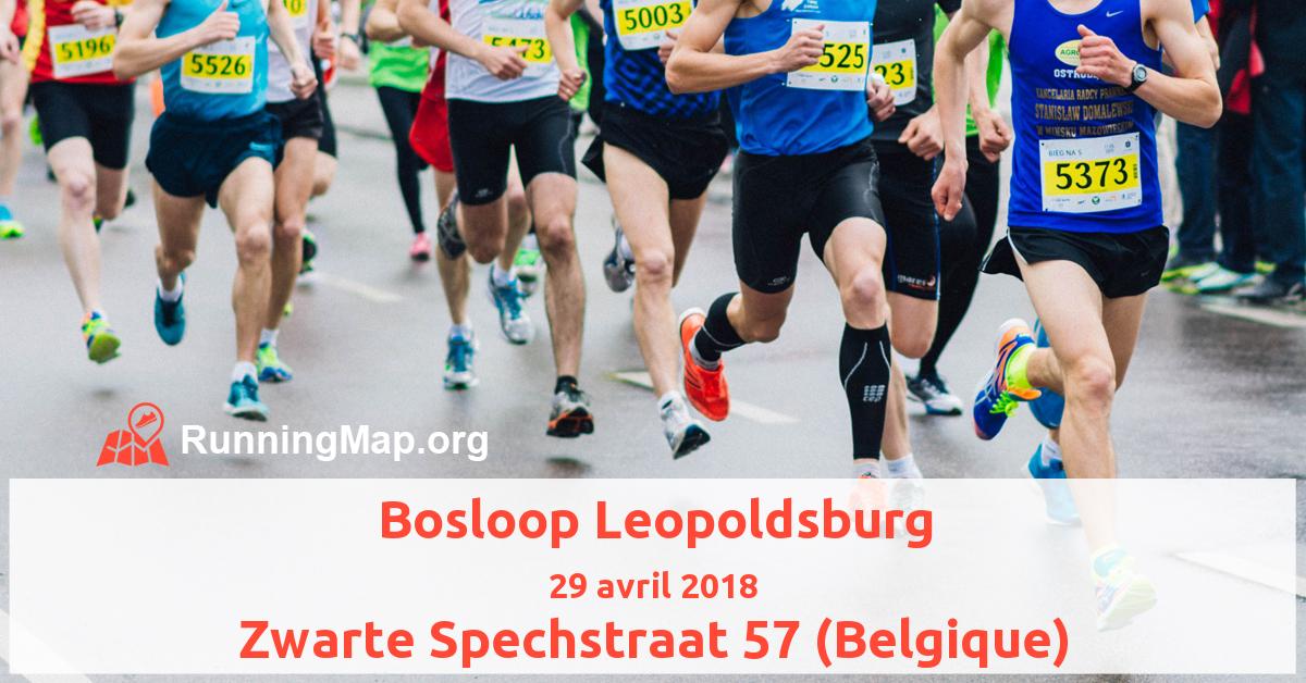 Bosloop Leopoldsburg