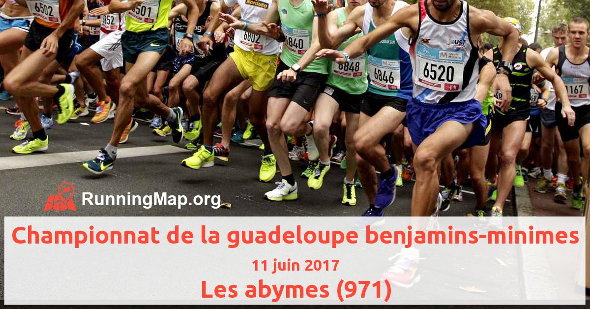 Championnat de la guadeloupe benjamins-minimes