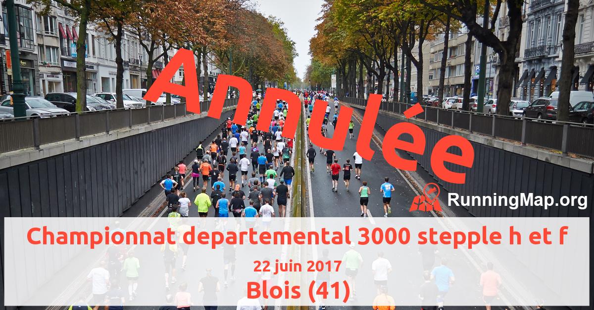 Championnat departemental 3000 stepple h et f