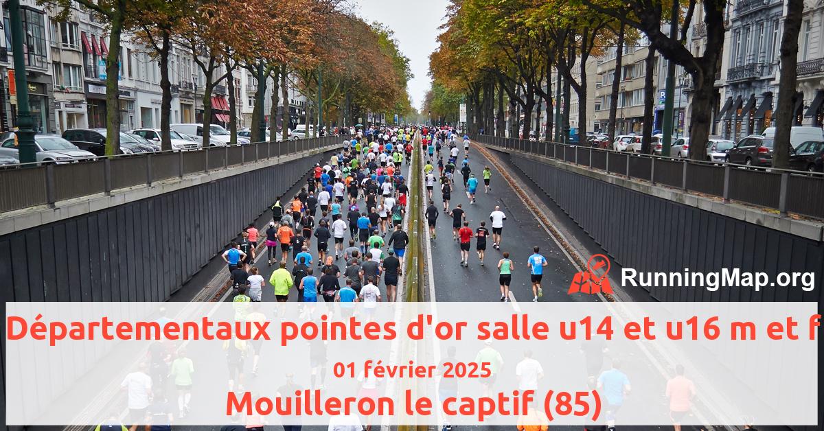 Départementaux pointes d'or salle u14 et u16 m et f