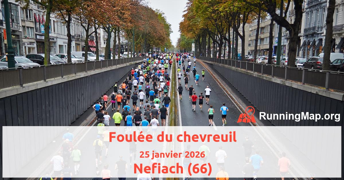 Foulée du chevreuil