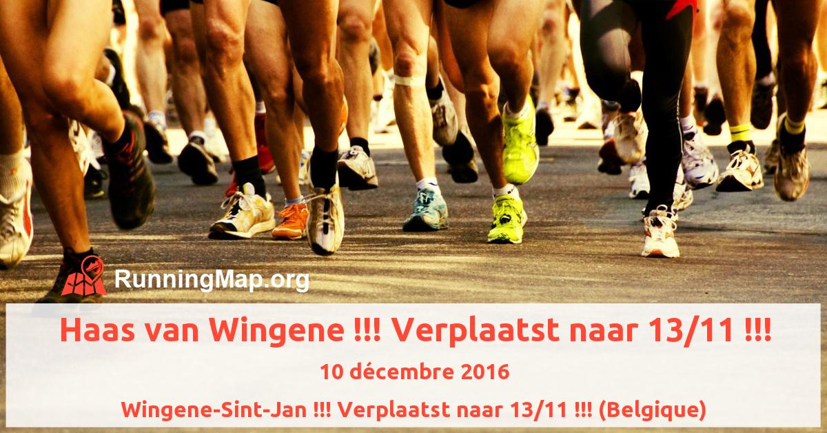 Haas van Wingene !!! Verplaatst naar 13/11 !!!