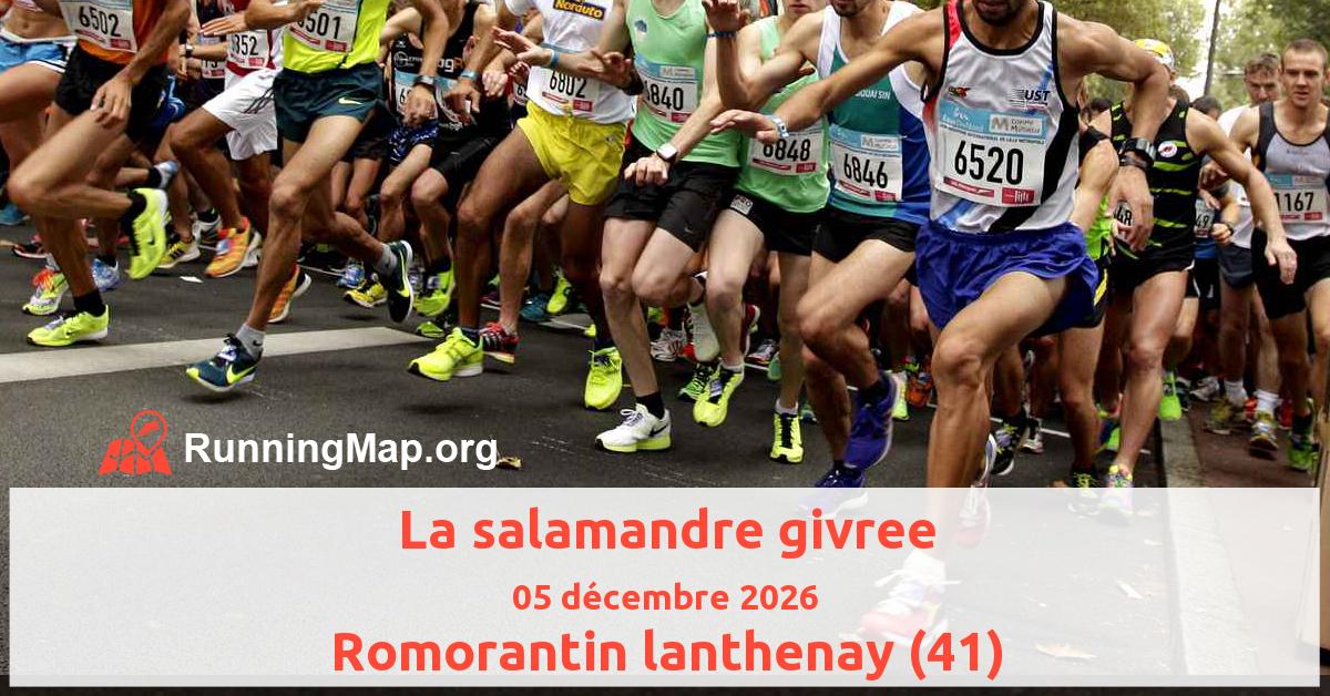La salamandre givree