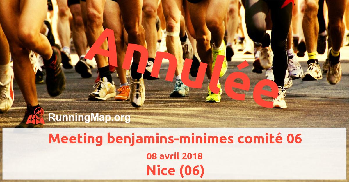 Meeting benjamins-minimes comité 06