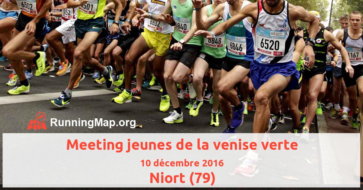 Meeting jeunes de la venise verte