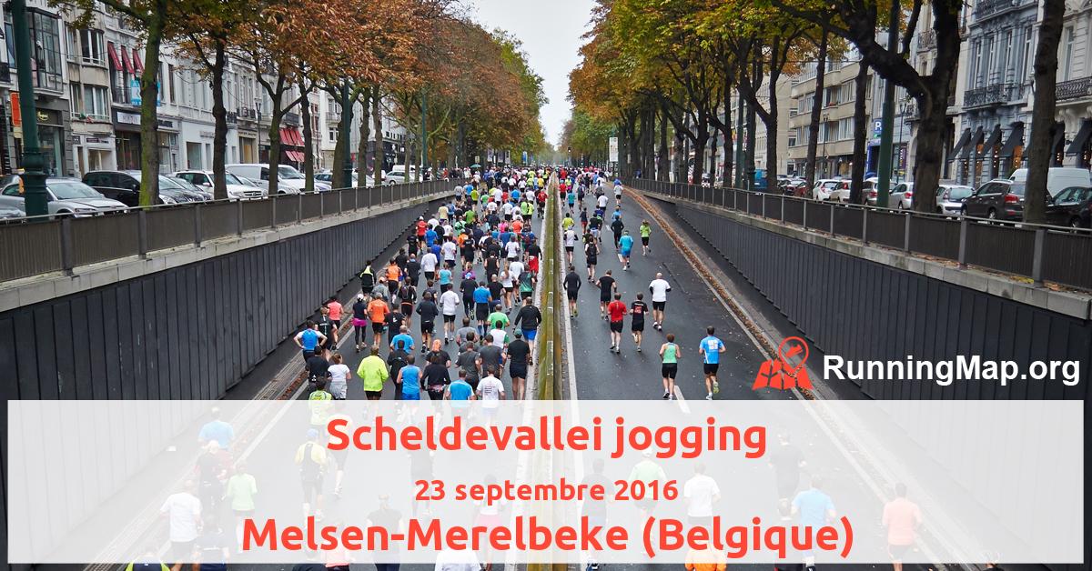 Scheldevallei jogging