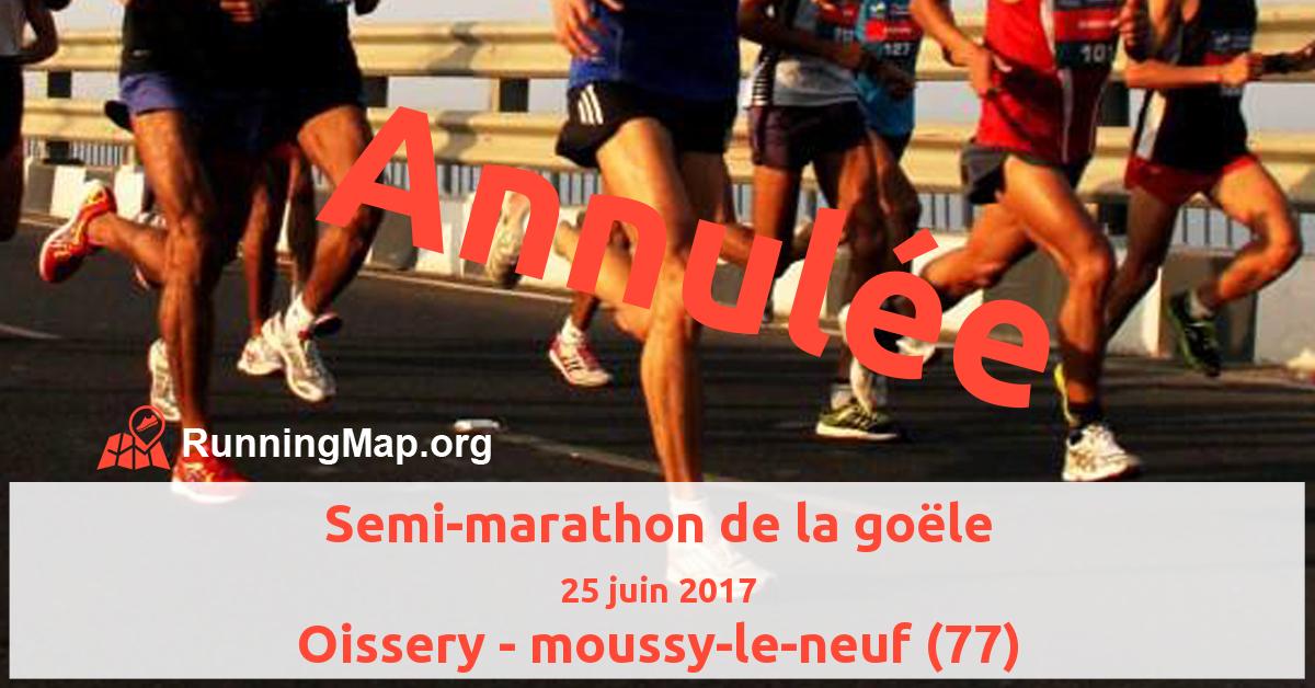 Semi-marathon de la goële