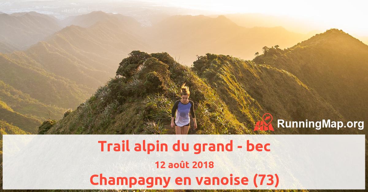 Trail alpin du grand - bec