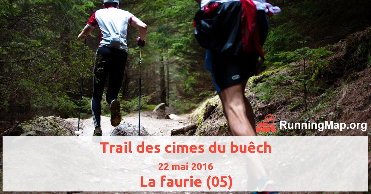 Trail des cimes du buêch